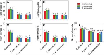 Co-contamination by heavy metal and organic pollutant alters impacts of genotypic richness on soil nutrients